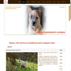Скриншот главной страницы сайта dingo.moscow