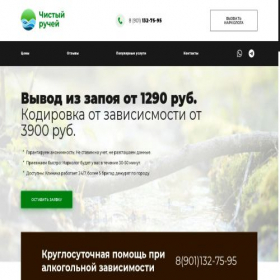 Скриншот главной страницы сайта direct.chistyi-ruchei.ru