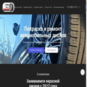 Скриншот главной страницы сайта diskipro.ru
