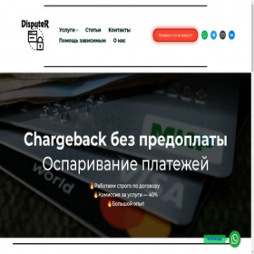 Скриншот главной страницы сайта disputer.pro