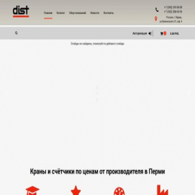 Скриншот главной страницы сайта dist59.ru