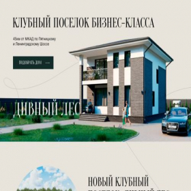 Скриншот главной страницы сайта div-les.ru