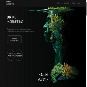 Скриншот главной страницы сайта diving.marketing