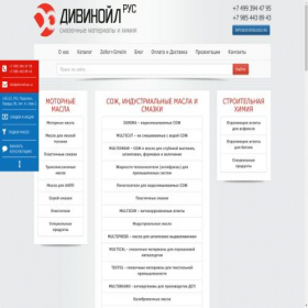 Скриншот главной страницы сайта divinolrus.ru