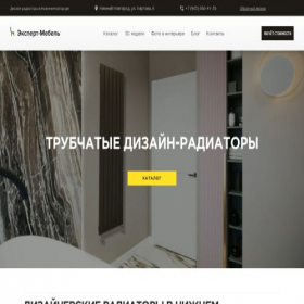 Скриншот главной страницы сайта dizain-radiator.ru
