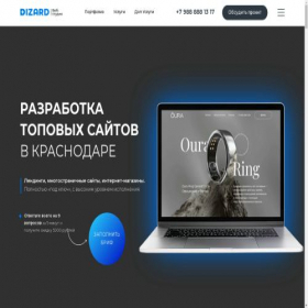 Скриншот главной страницы сайта dizard-web.ru