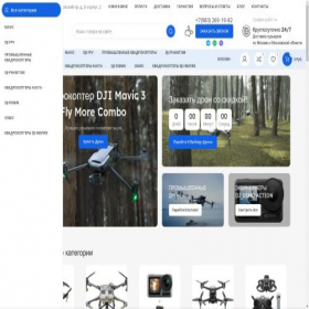 Скриншот главной страницы сайта dji-drons.ru