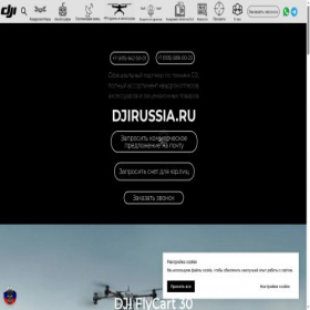 Скриншот главной страницы сайта djirussia.ru
