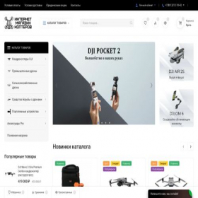 Скриншот главной страницы сайта djistores.ru
