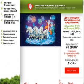 Скриншот главной страницы сайта dm-vrn.ru