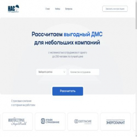 Скриншот главной страницы сайта dms.market