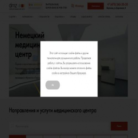 Скриншот главной страницы сайта dmz-v.ru