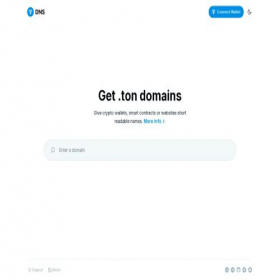 Скриншот главной страницы сайта dns.ton.org