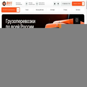 Скриншот главной страницы сайта dnslg.ru