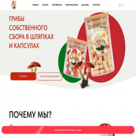Скриншот главной страницы сайта dobriy-muhomo.tilda.ws