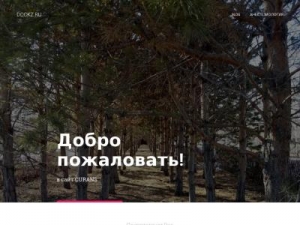 Скриншот главной страницы сайта dockz.ru