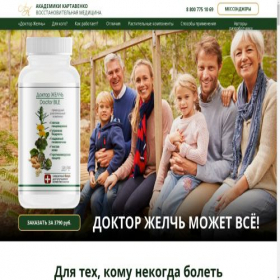 Скриншот главной страницы сайта doctorbile.ru