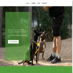 Скриншот главной страницы сайта dogdogtraining.ru