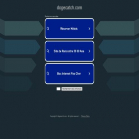Скриншот главной страницы сайта dogecatch.com