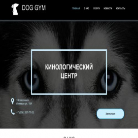 Скриншот главной страницы сайта doggym.ru