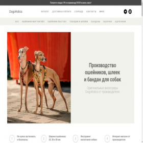 Скриншот главной страницы сайта dogoholics.ru