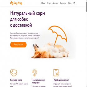 Скриншот главной страницы сайта dogprog.ru