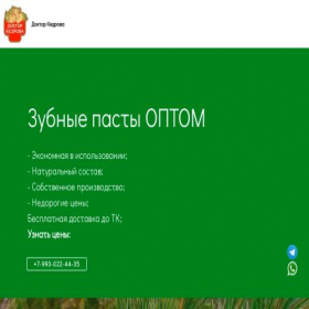 Скриншот главной страницы сайта doktor-bot.ru