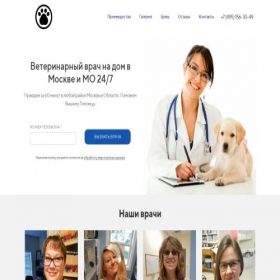 Скриншот главной страницы сайта doktorpets.ru