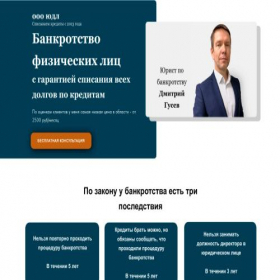 Скриншот главной страницы сайта dolgy-net.tilda.ws