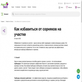 Скриншот главной страницы сайта dom-click.online