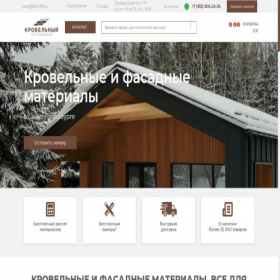 Скриншот главной страницы сайта dom198.ru