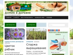 Скриншот главной страницы сайта domik-derevne.ru
