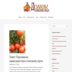 Скриншот главной страницы сайта domikdomovenka.ru