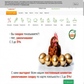 Скриншот главной страницы сайта dominishop.ru