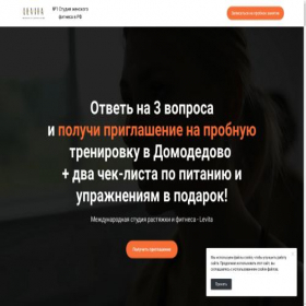 Скриншот главной страницы сайта domodedovo-l.ru