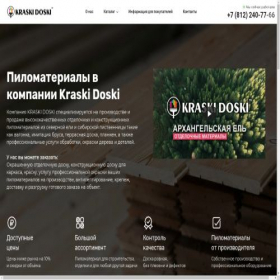 Скриншот главной страницы сайта doskabum.ru