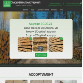 Скриншот главной страницы сайта doski-omsk.ru