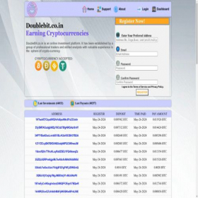Скриншот главной страницы сайта doublebit.co.in