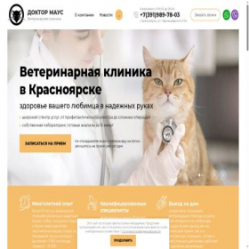 Скриншот главной страницы сайта dr-mouse.ru