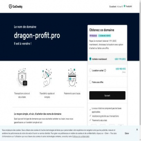 Скриншот главной страницы сайта dragon-profit.pro