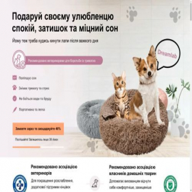 Скриншот главной страницы сайта dreamlab.store