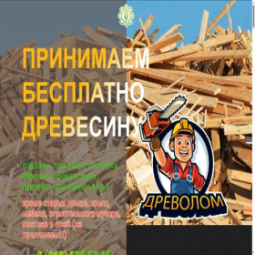 Скриншот главной страницы сайта drevolom.ru