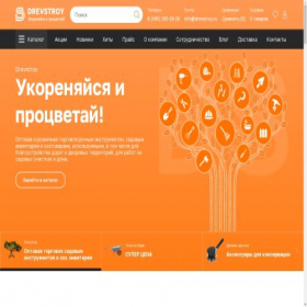 Скриншот главной страницы сайта drevstroy.ru
