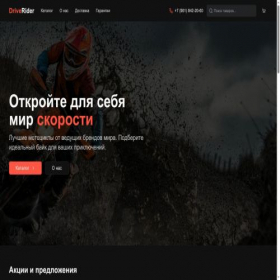 Скриншот главной страницы сайта drive-rider.ru
