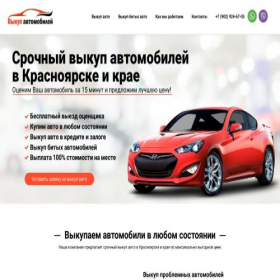 Скриншот главной страницы сайта dromvykup.online
