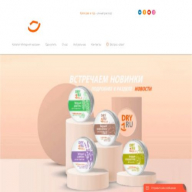 Скриншот главной страницы сайта dryru.com