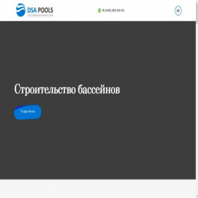 Скриншот главной страницы сайта dsapools.ru