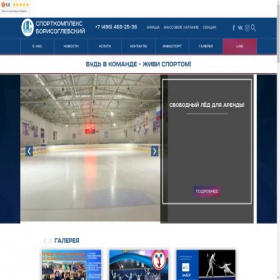 Скриншот главной страницы сайта dsbg.ru