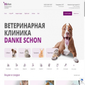 Скриншот главной страницы сайта dschon.com