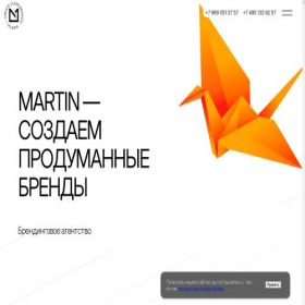 Скриншот главной страницы сайта dsmartin.ru